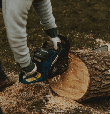 Worker sawing a stump