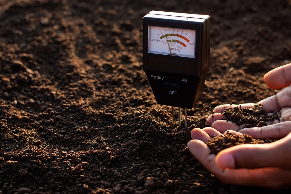Soil meter with hands picking up
