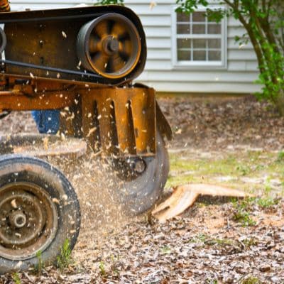 stump grinding southern pines